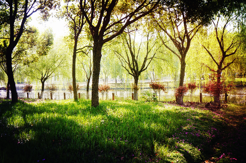 微信图片_202010201615283