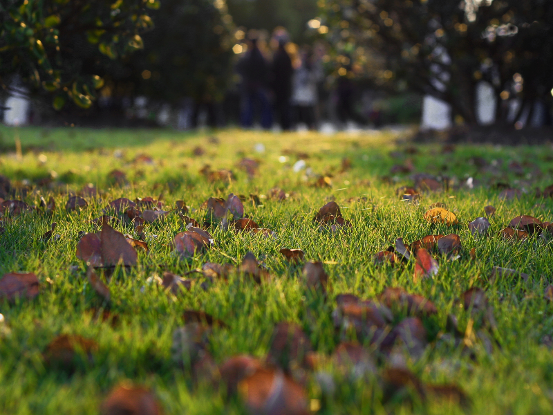 微信图片_202010201615284