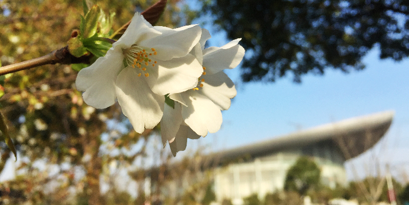 微信图片_202010201615285