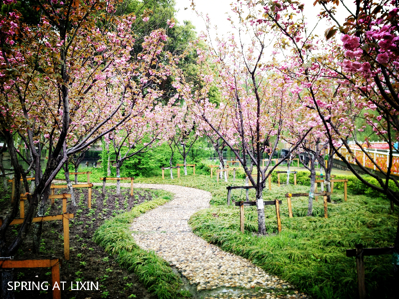 微信图片_202010201615287